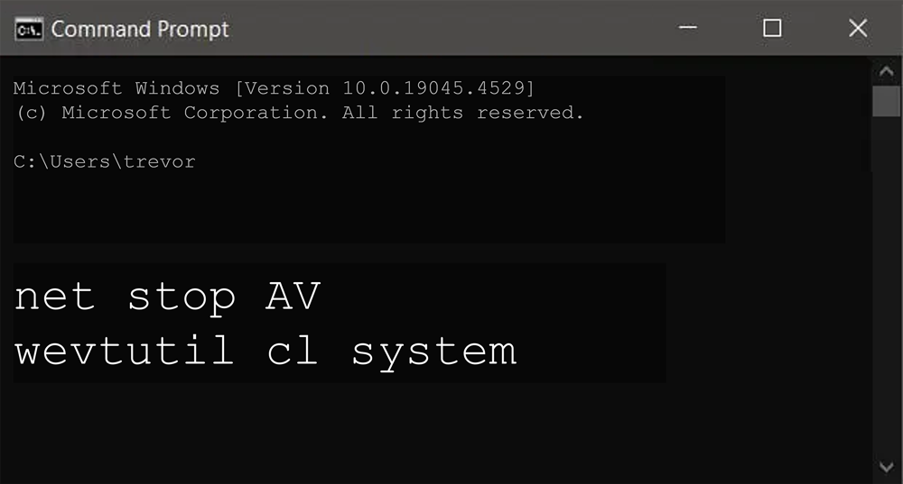 Ransom Bypass Terminal